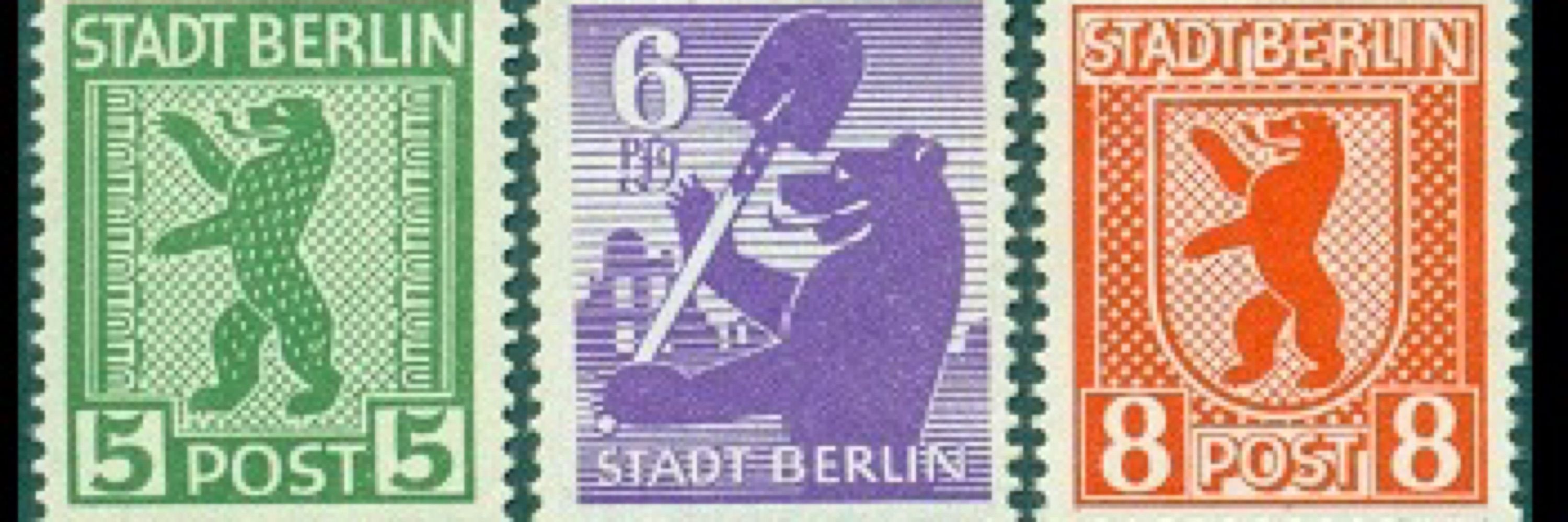 Ursus Arctos
