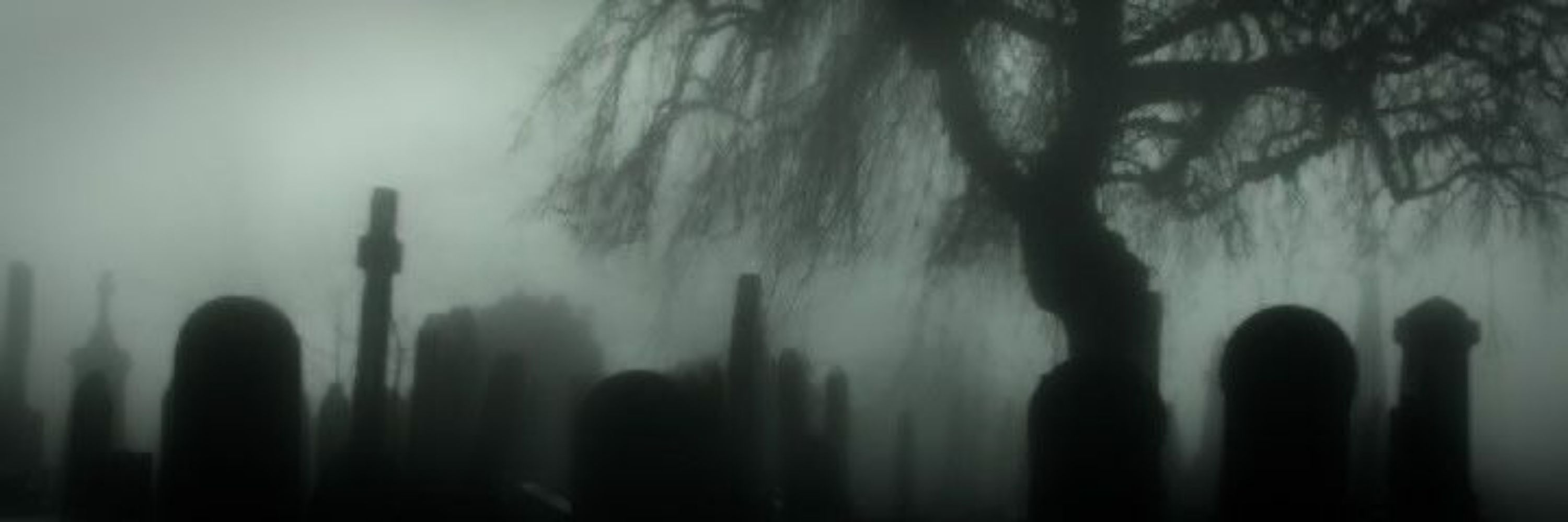 💚🖤 𝕳𝖊𝖑𝖊𝖓𝖆 𝕹𝖔𝖈𝖙 🖤💚