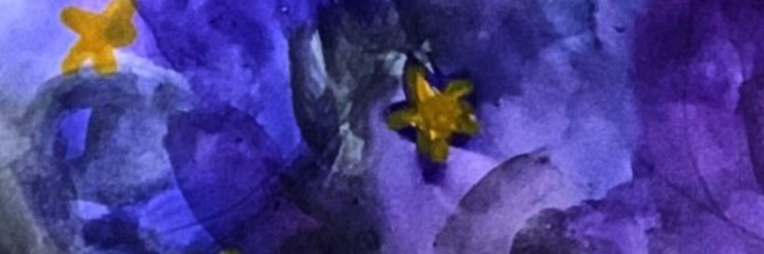 Gwyfyn Llevant 𐫱 🦋🕊🦉