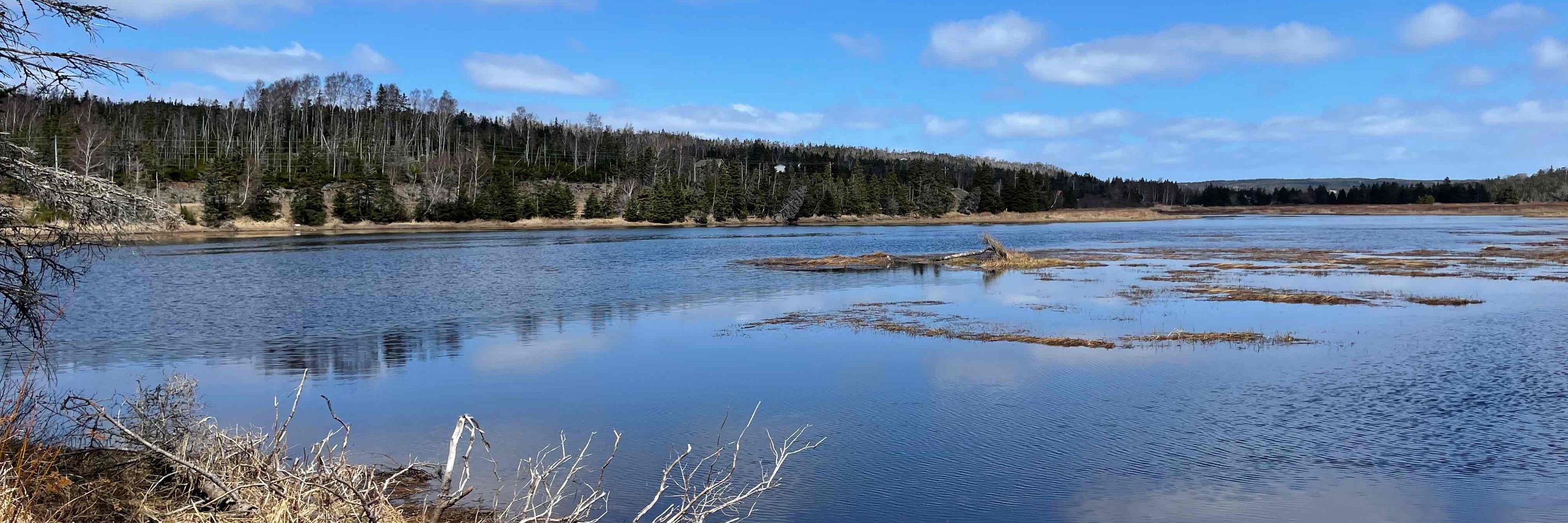 Salmonier Trails