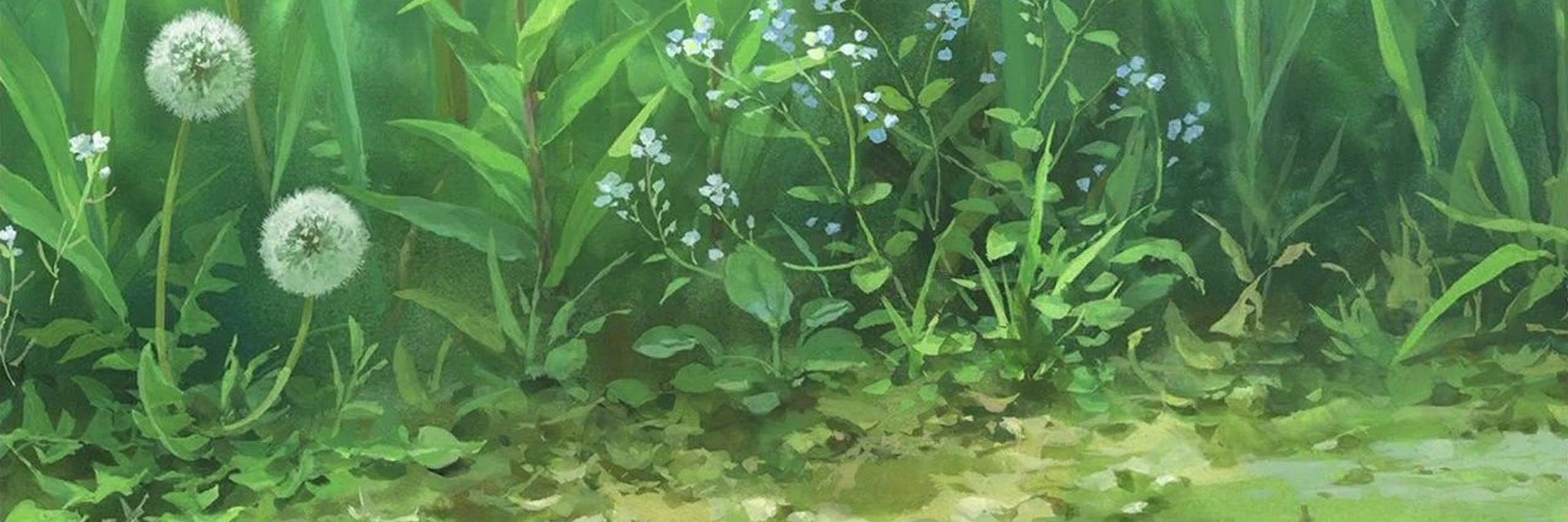 ✧ tapiocu 🍃