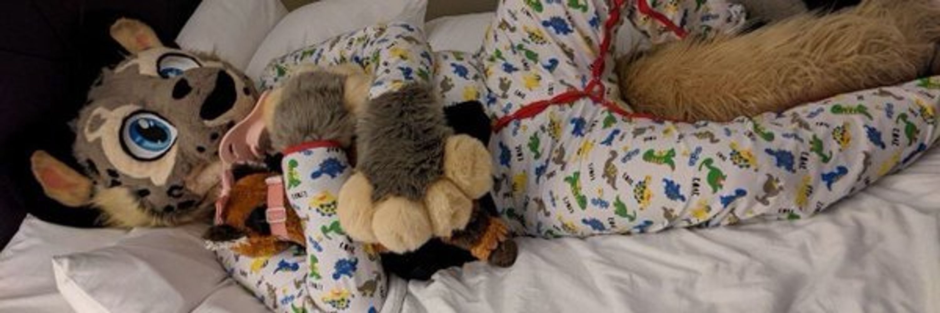 Little Snep
