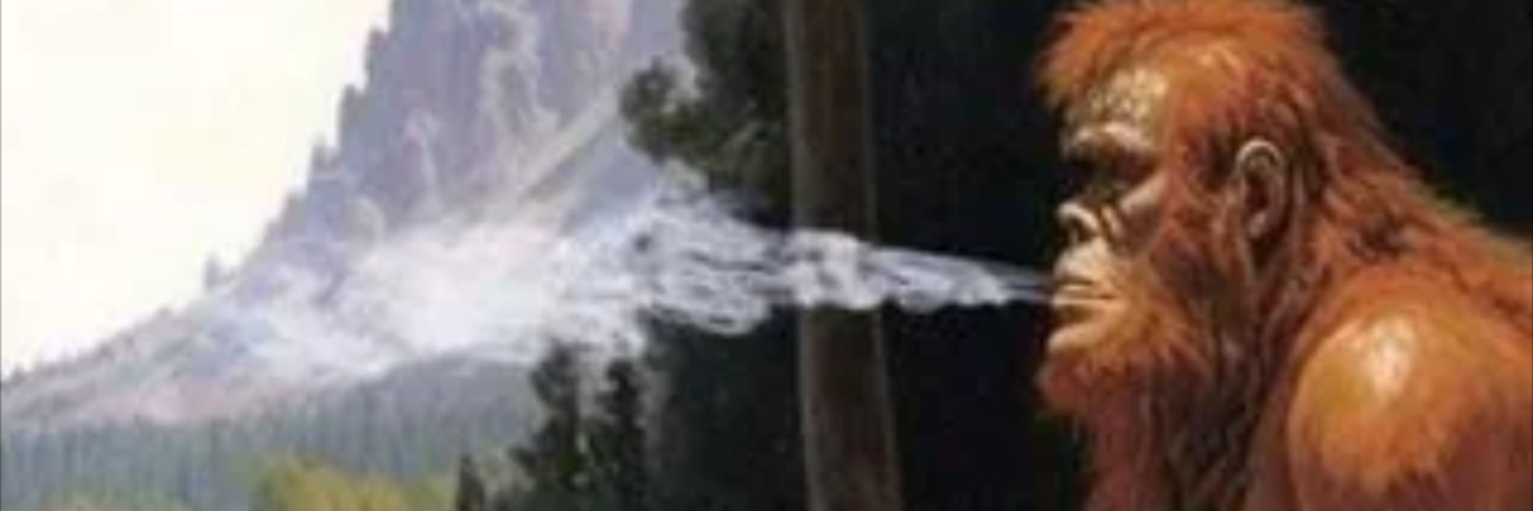 febreze