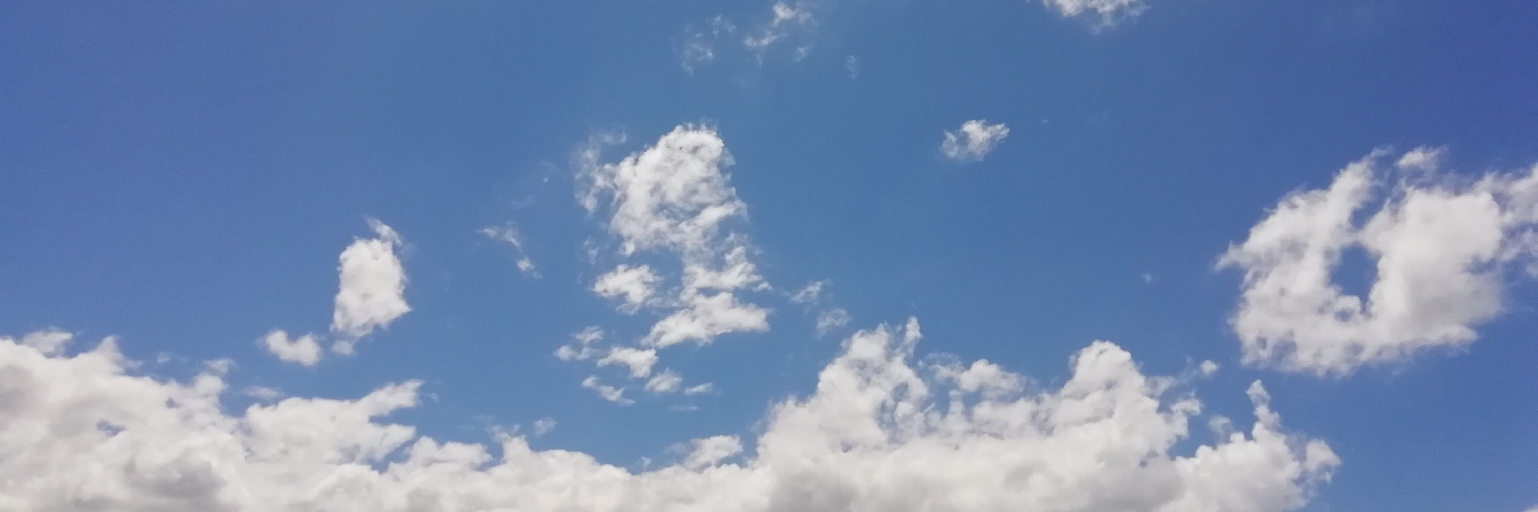 たちき