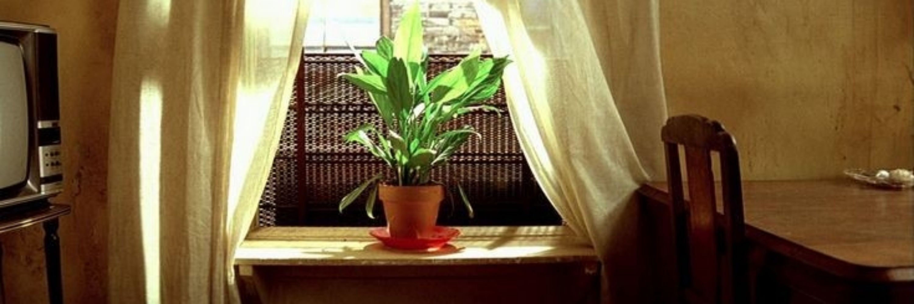 Лисий король][Третье отродье Миньярд