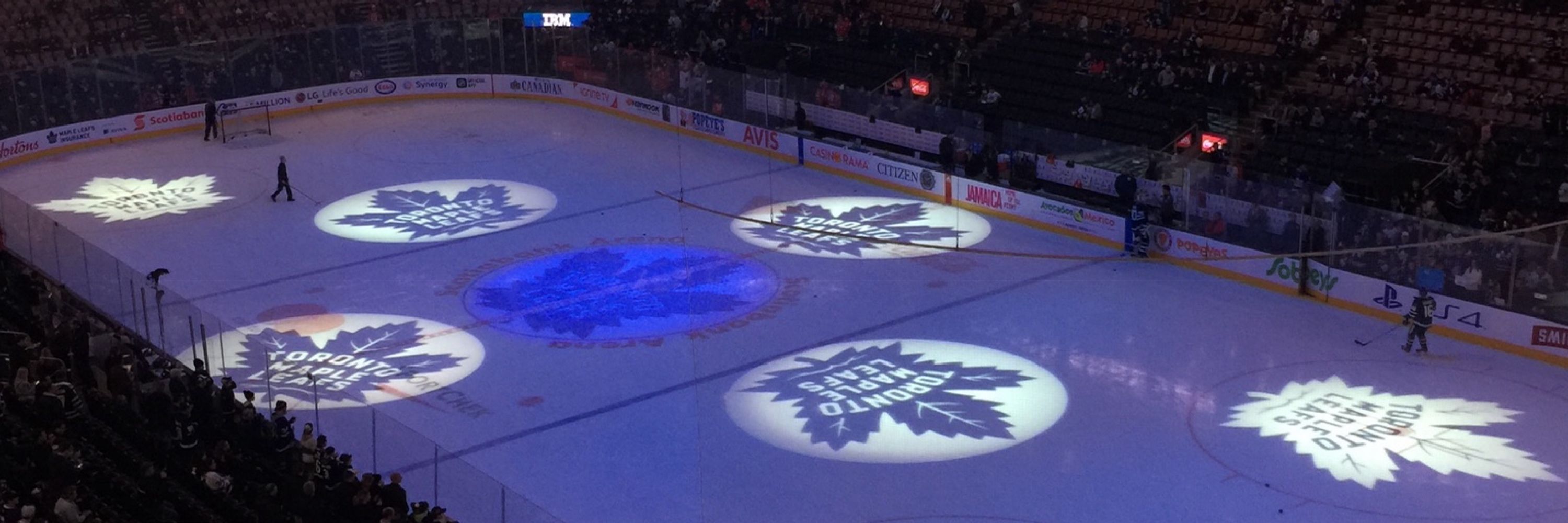 Leafs, Art ,Music Fan