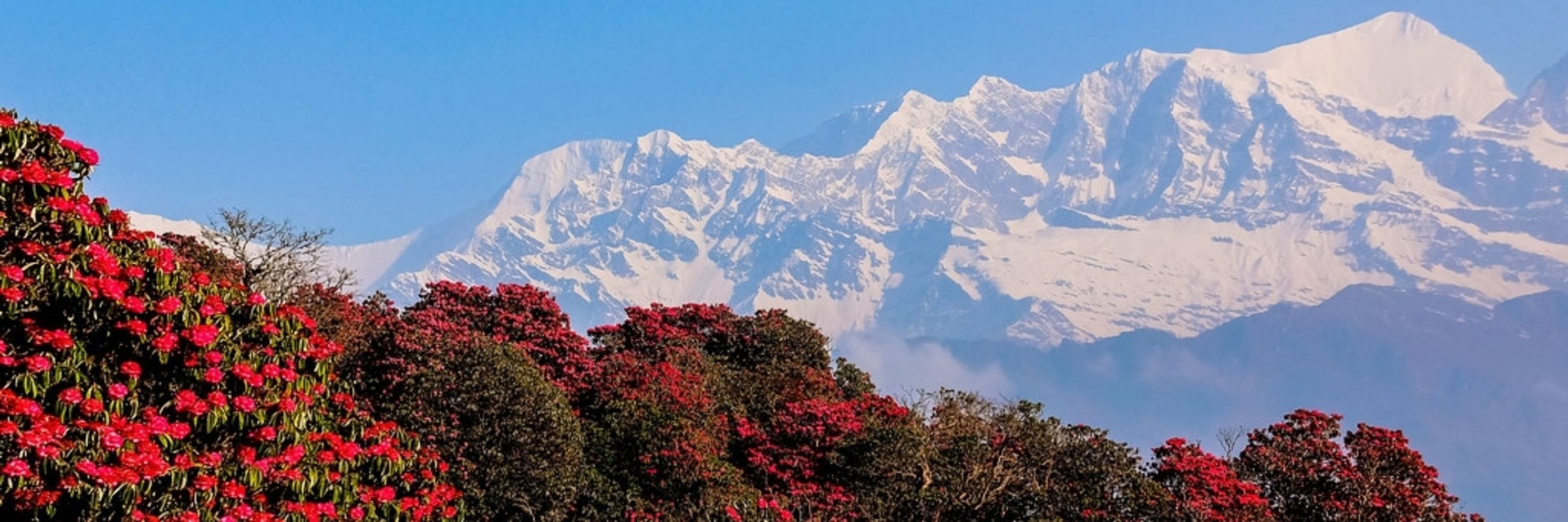 Krishnasvaji🪷🌙🏔️
