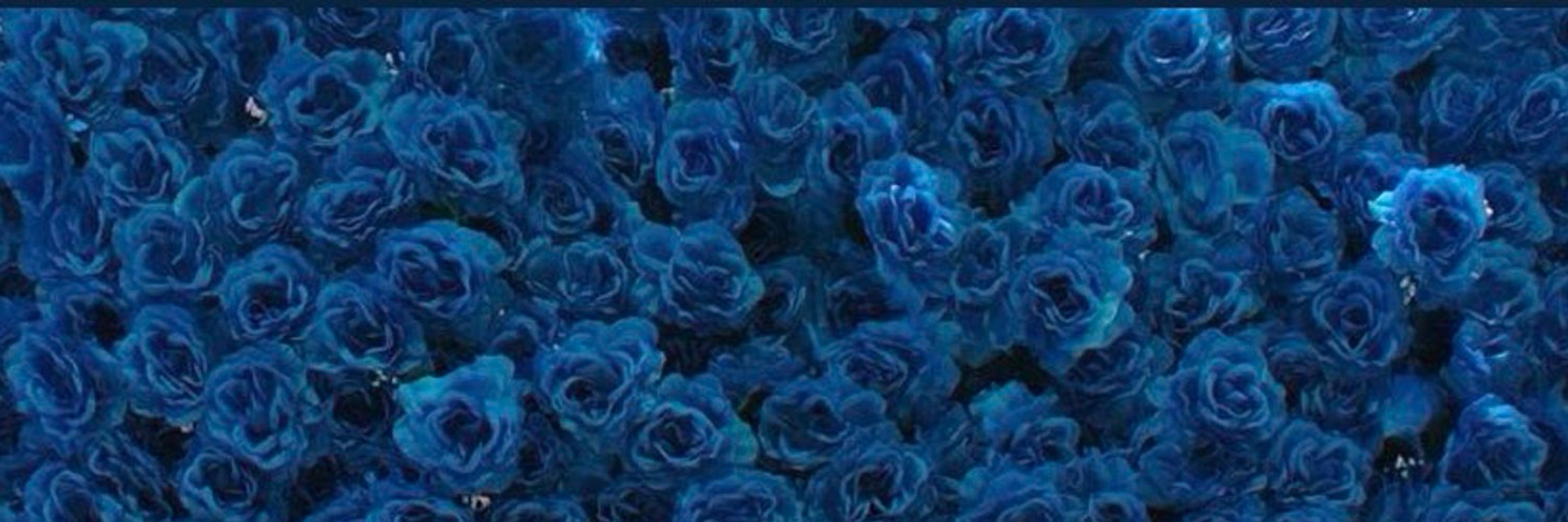 ksoohellen🦋
