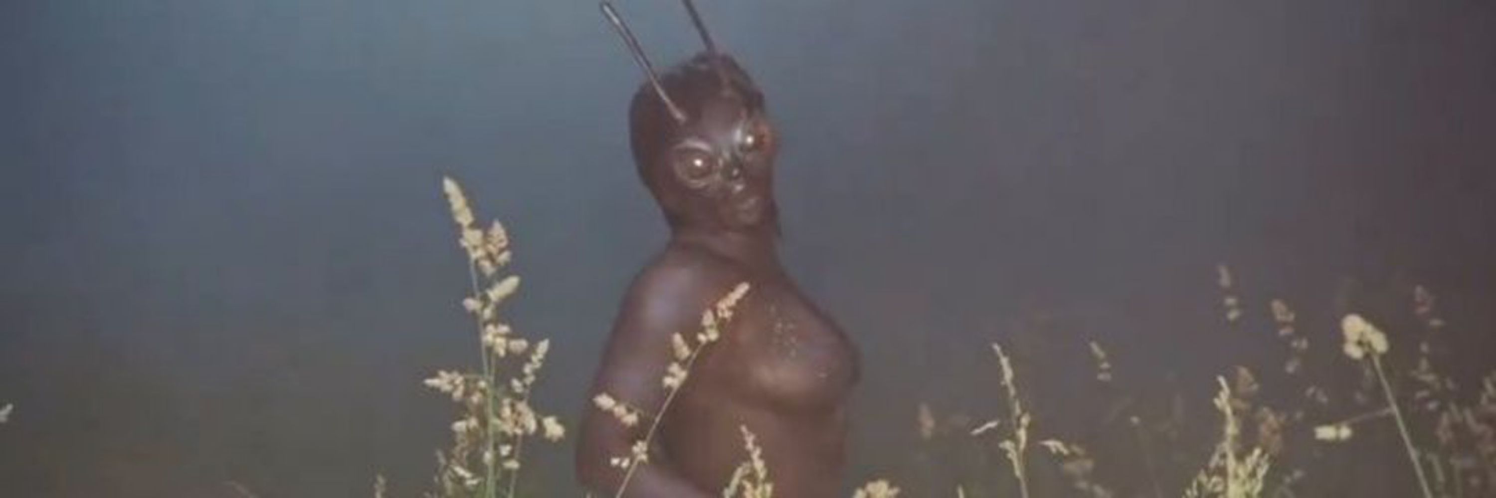 Hawan
