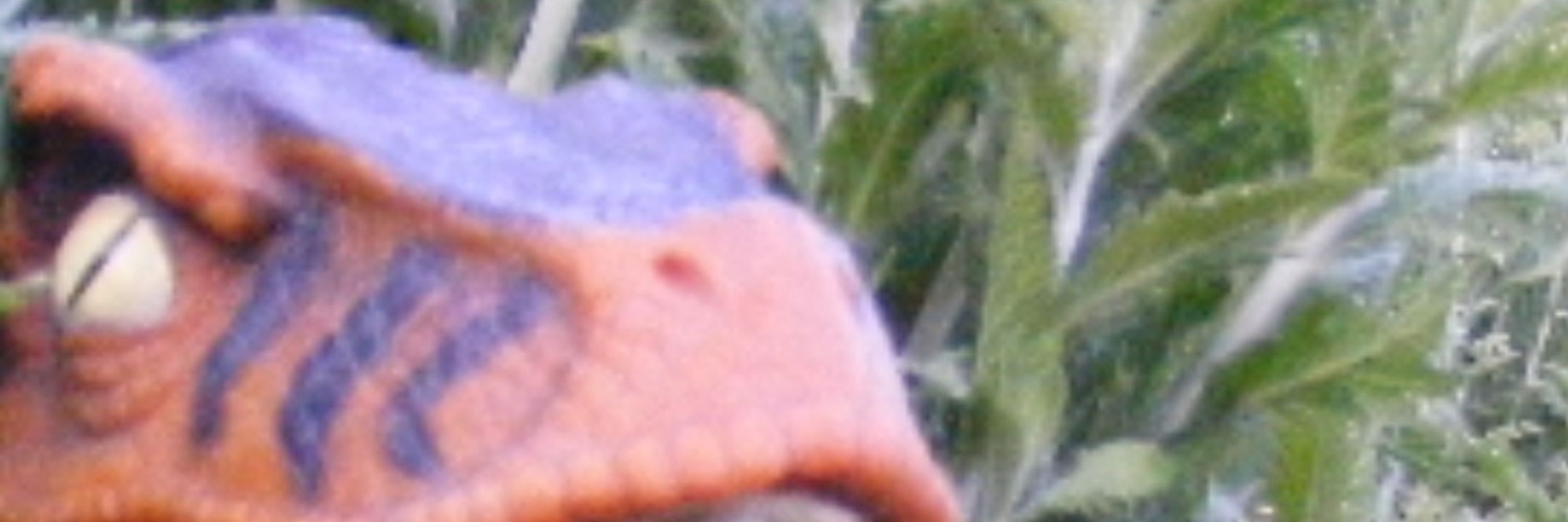 Dyrin