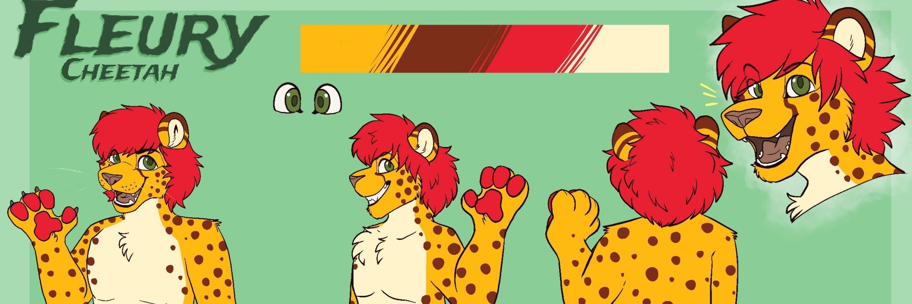 Fleury Cheetah