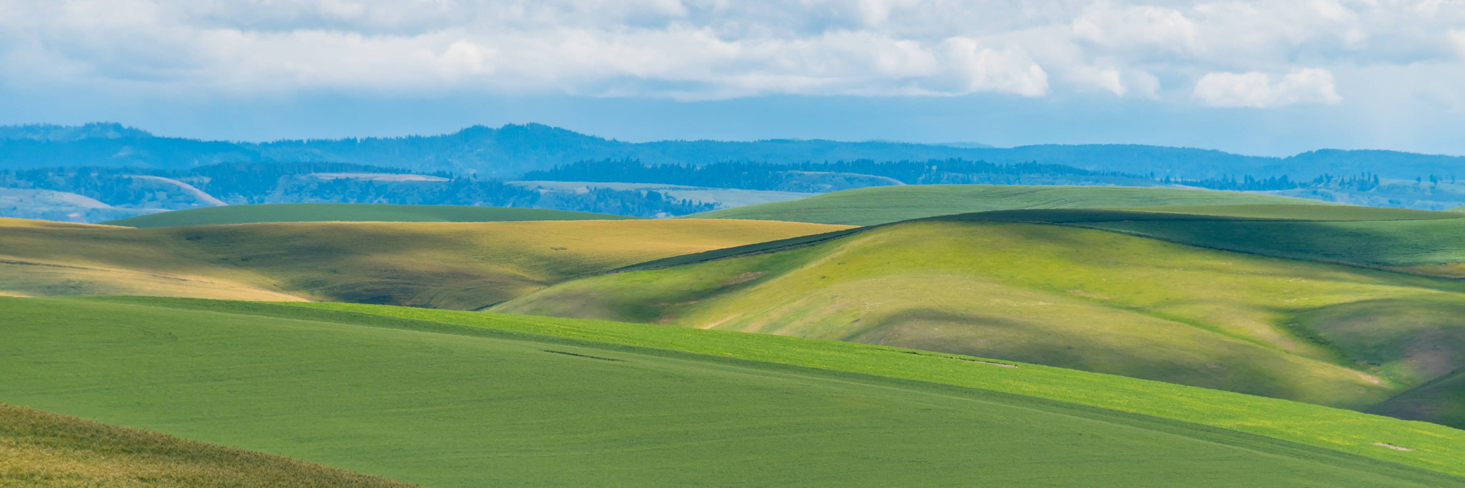 Washington State Department of Agriculture