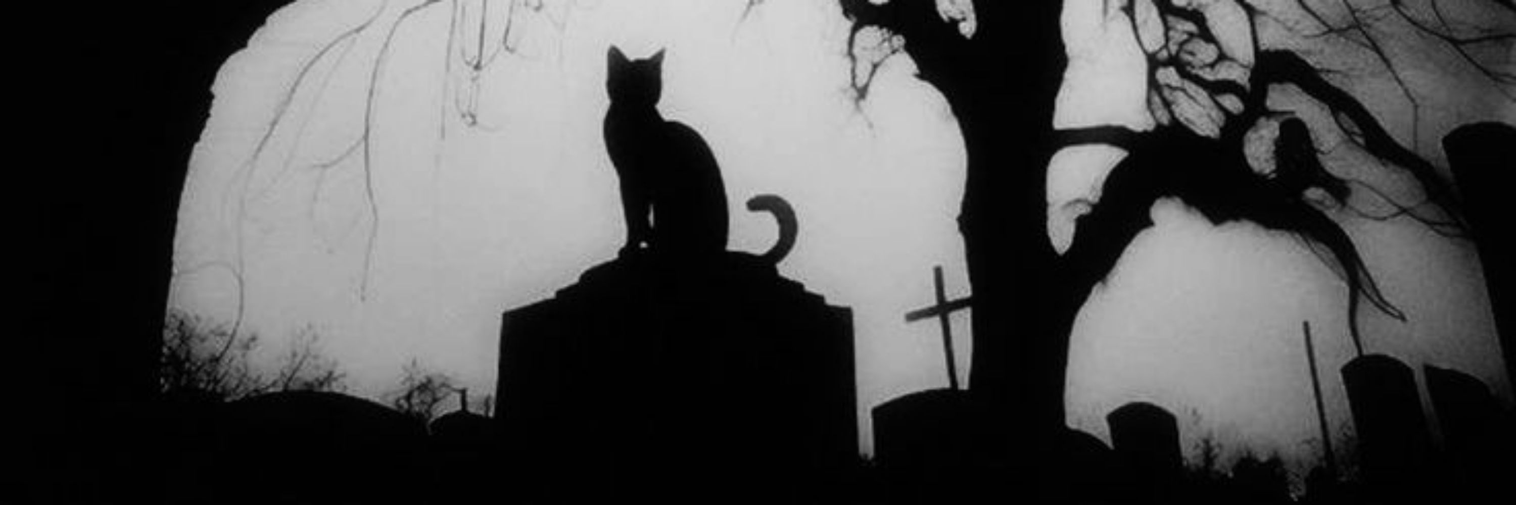 ⋆｡‧°🖤♰ 𝑲𝒊𝒕𝒕𝒚𝒌𝒂𝒕 ♰🖤°‧｡⋆