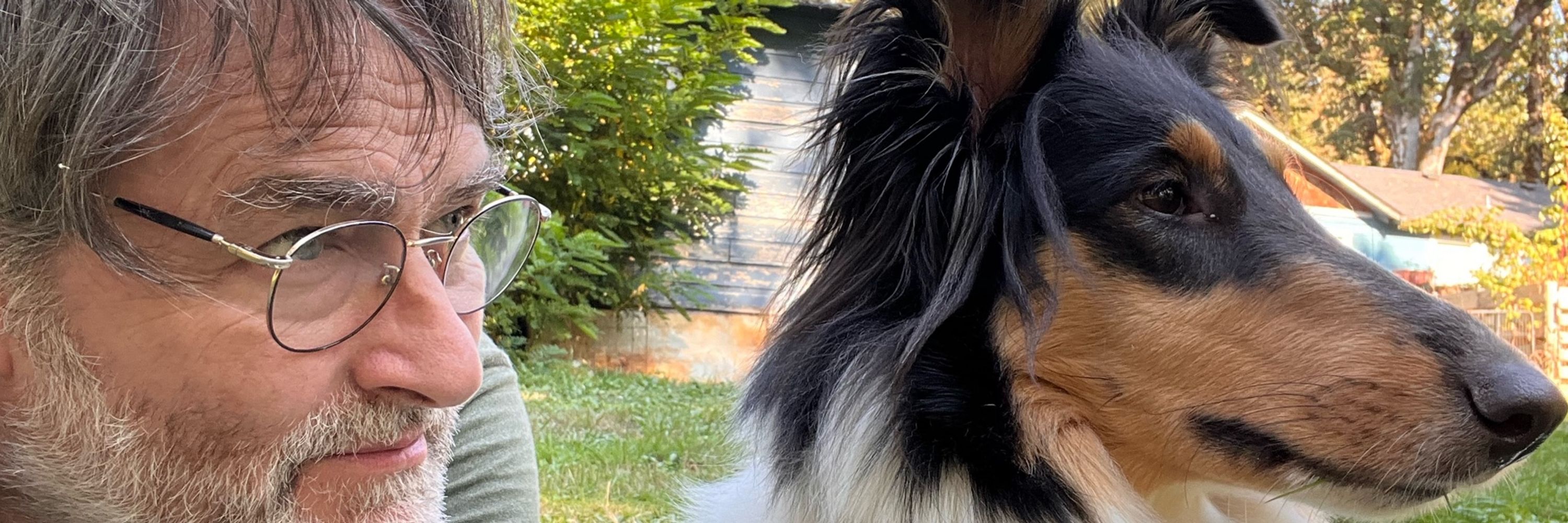 Holisticdogtraining