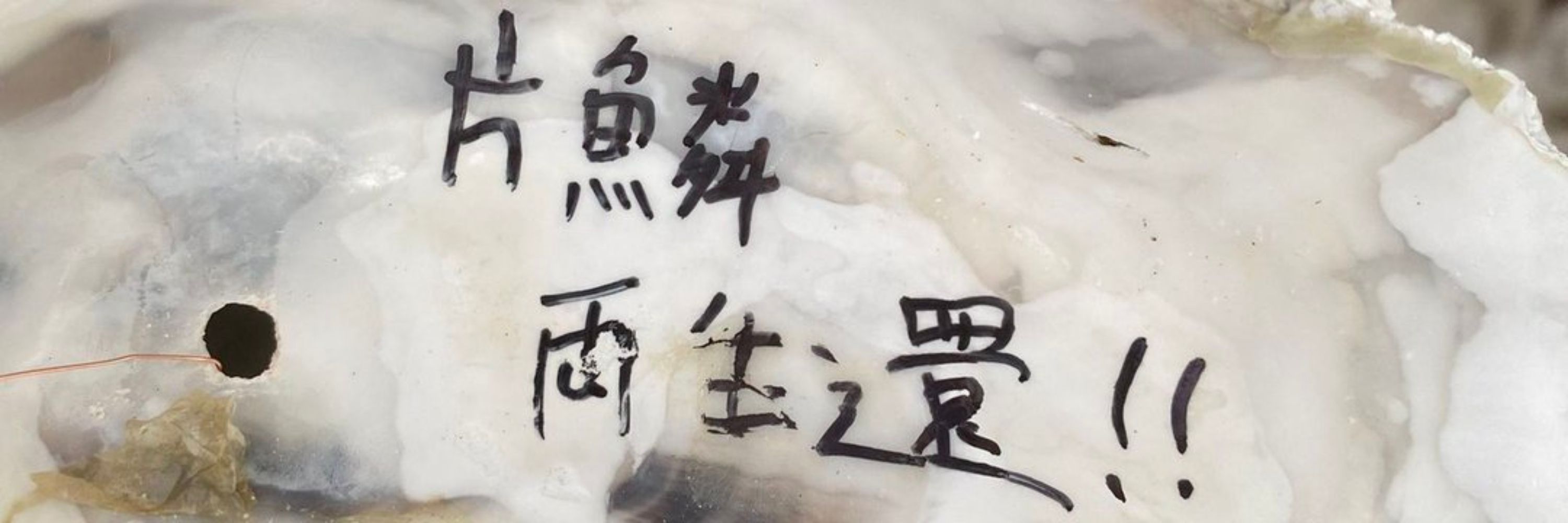 安息香酸Na