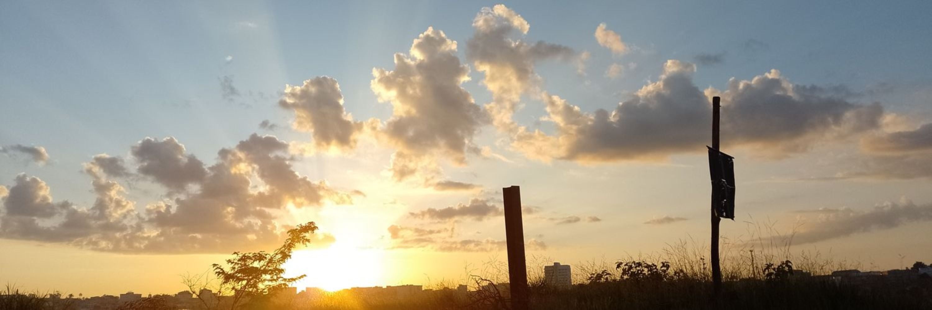 Núbinha 