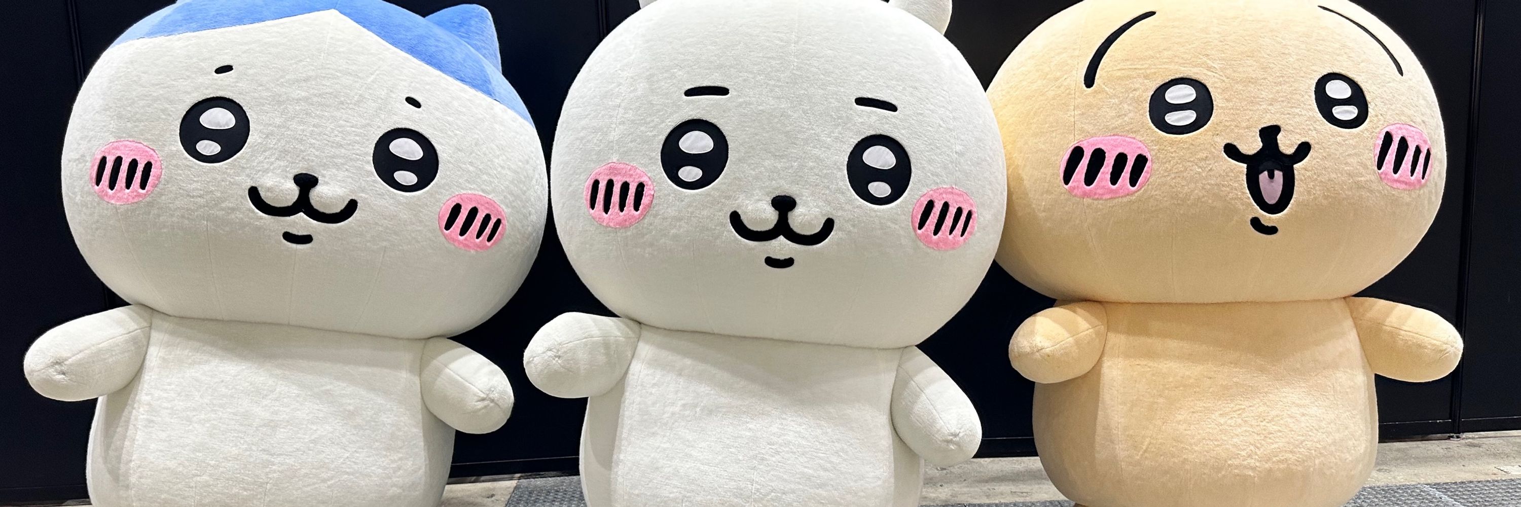 せたさん