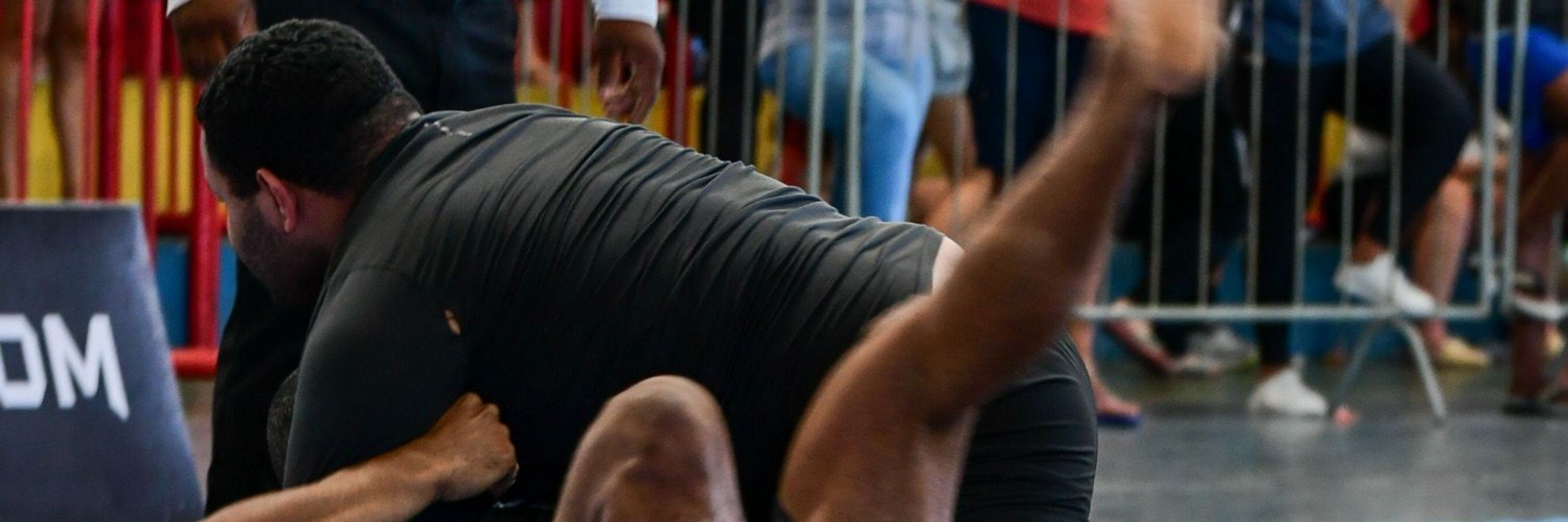 devaneios betianos