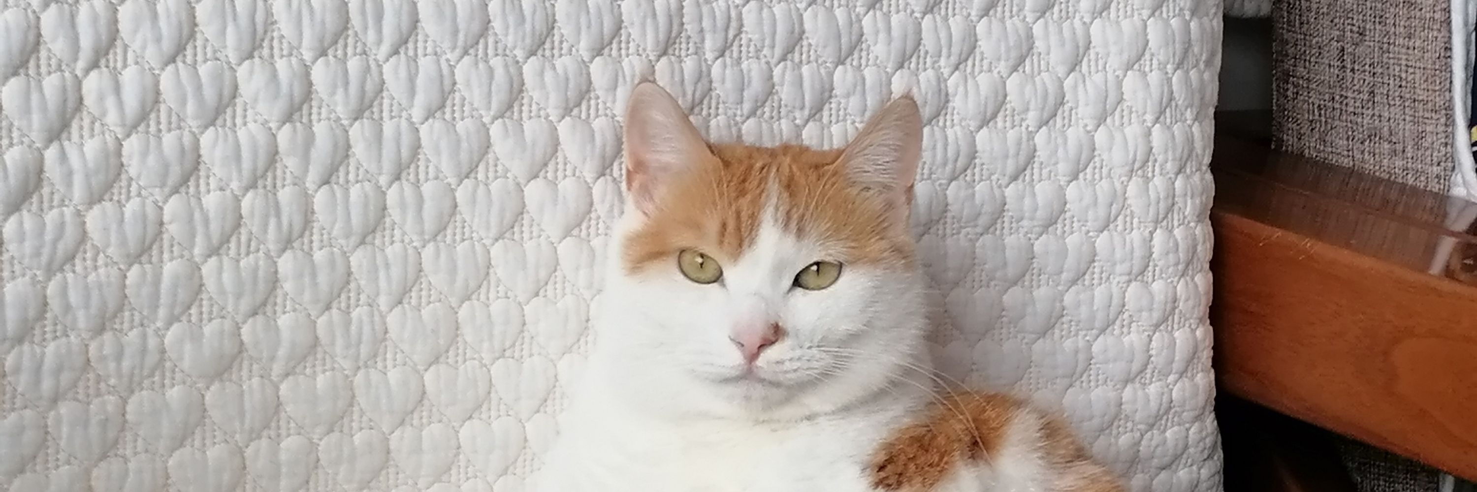 Susan
