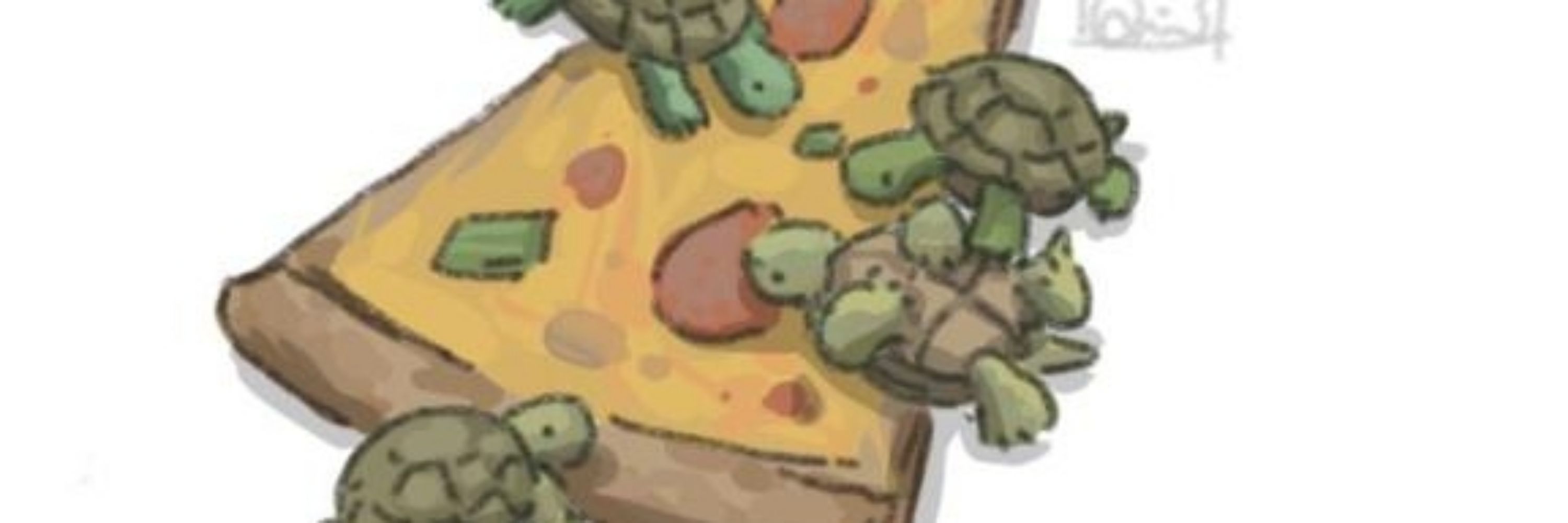 VoidTurt