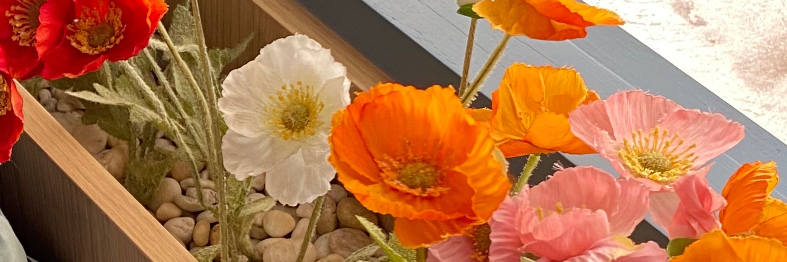 ꒰･῾메이⤾·🐰˚
