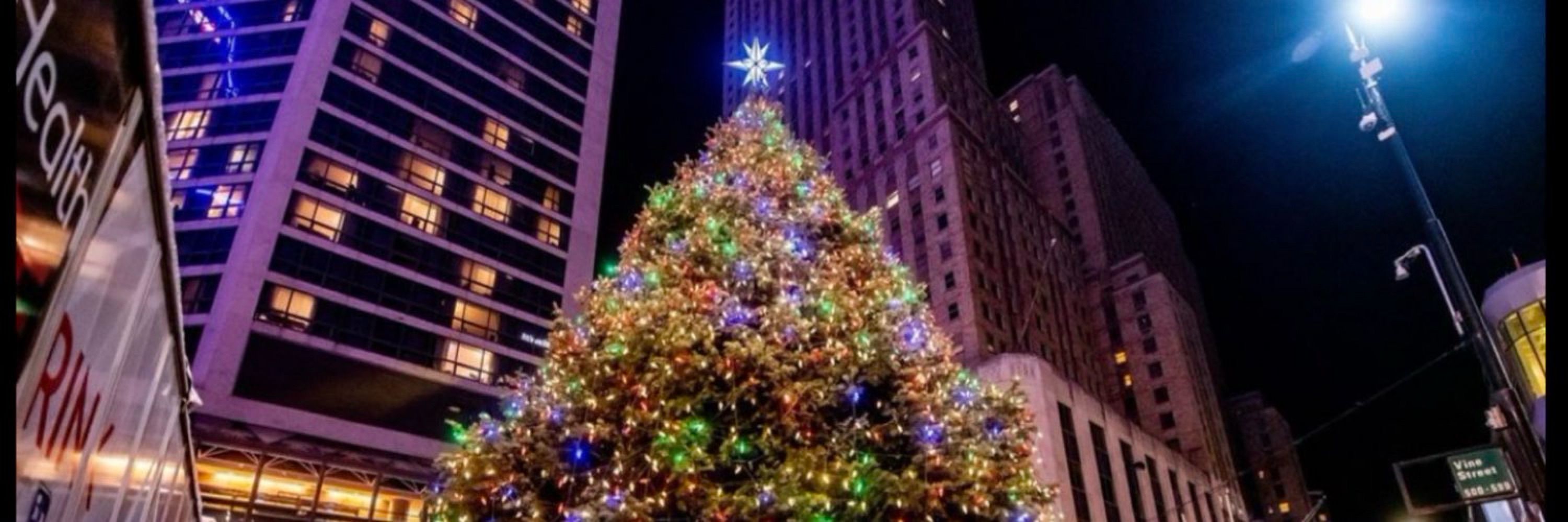 Cincinnati Fountain Square Tree