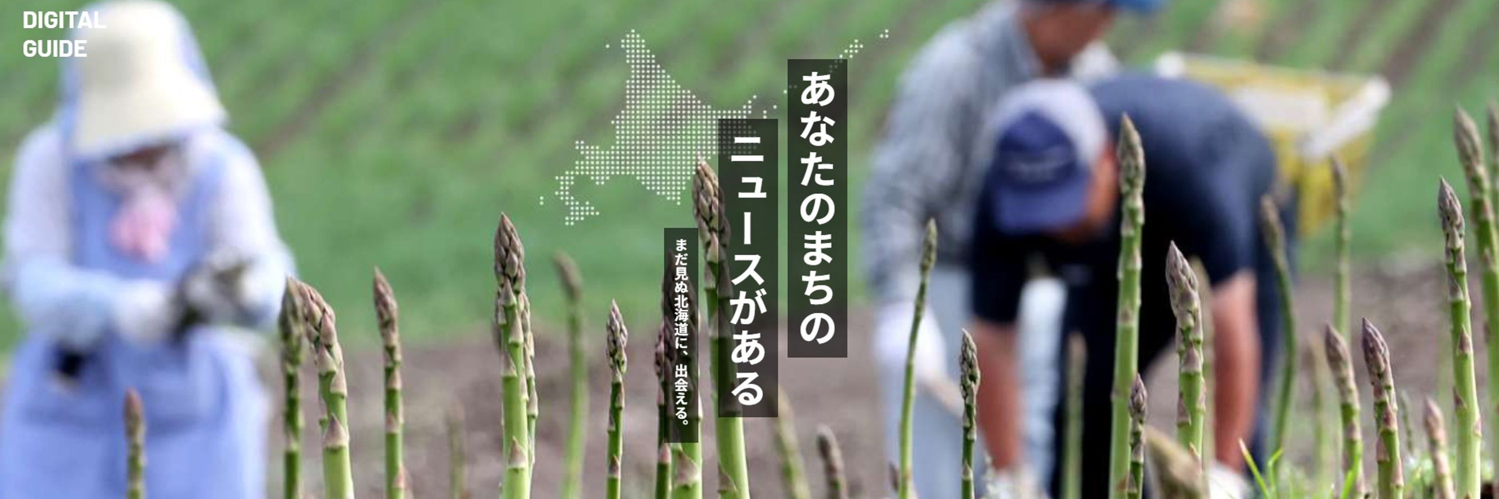 北海道新聞