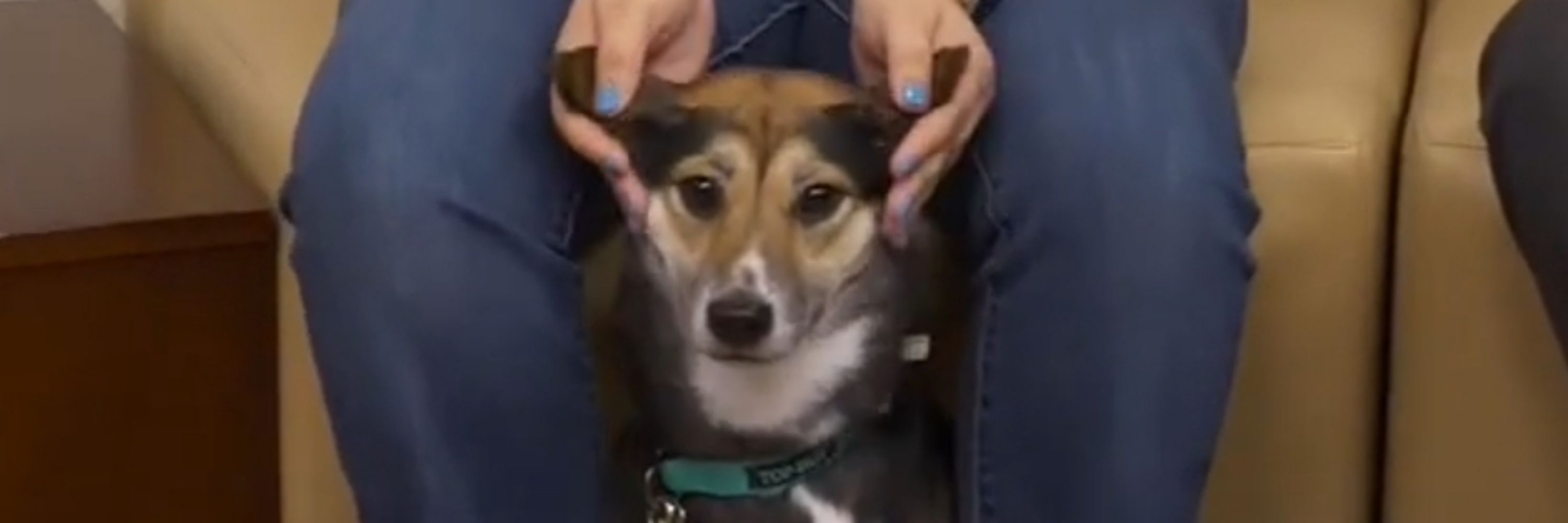 VaneRuby