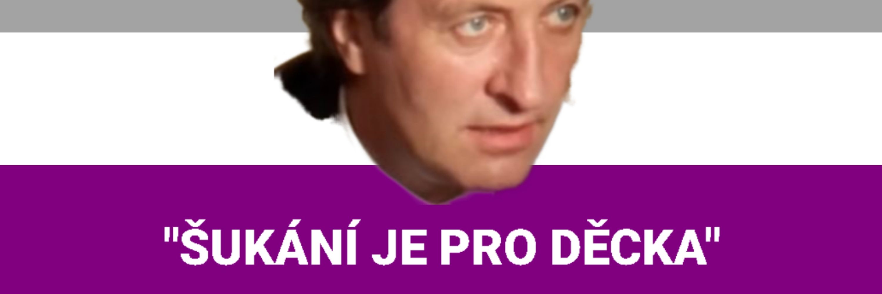 Viky Víla punková
