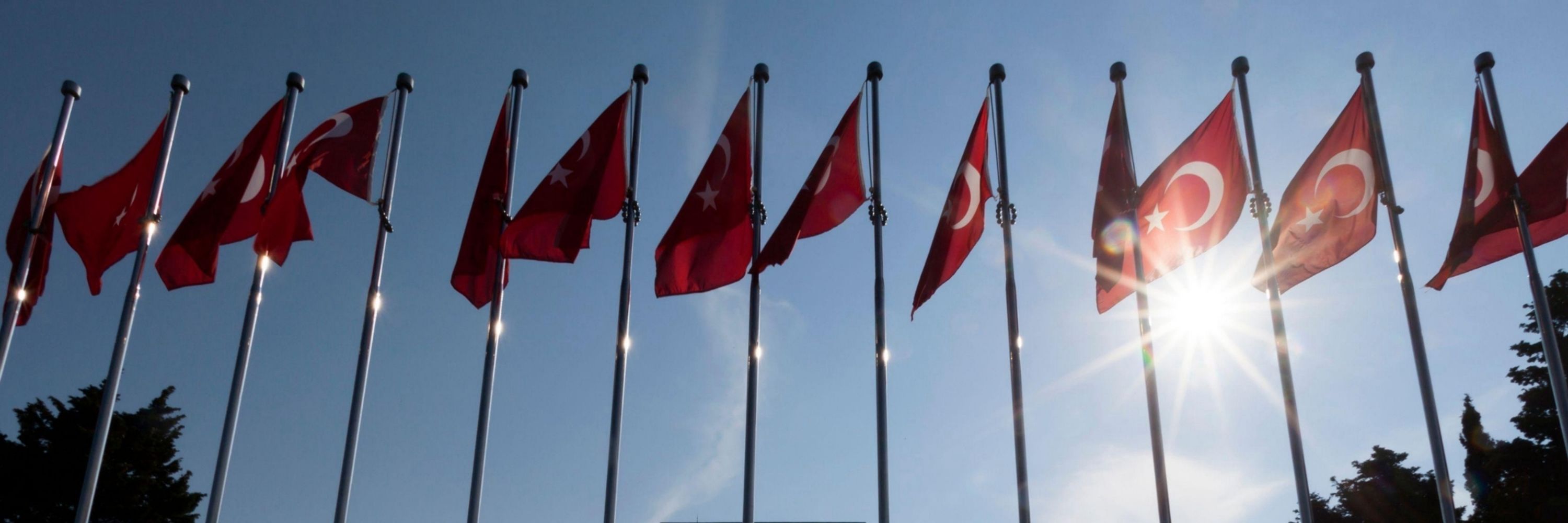 Bağımsız gazeteci