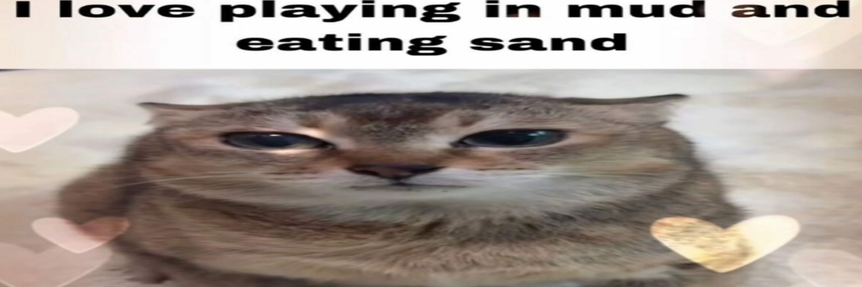 dizzyhat