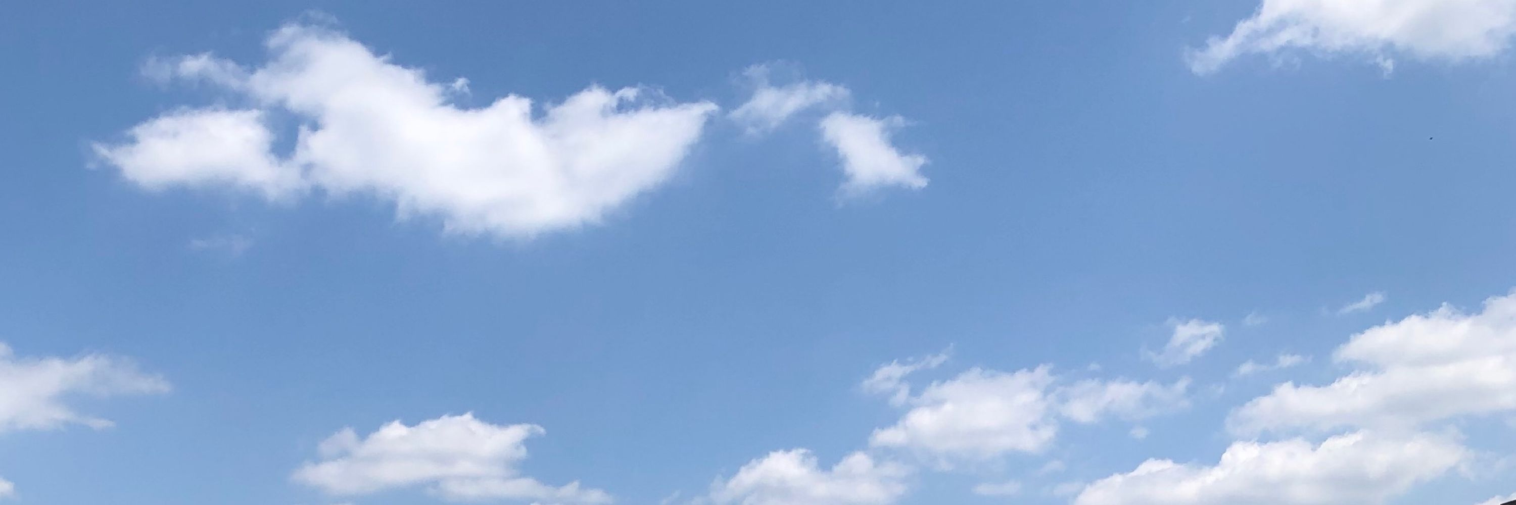 うえたみ