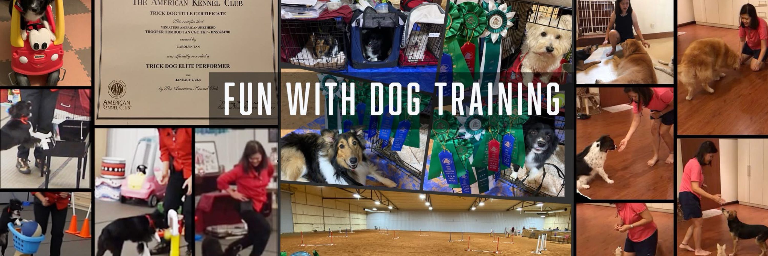 FunwithDogTraining