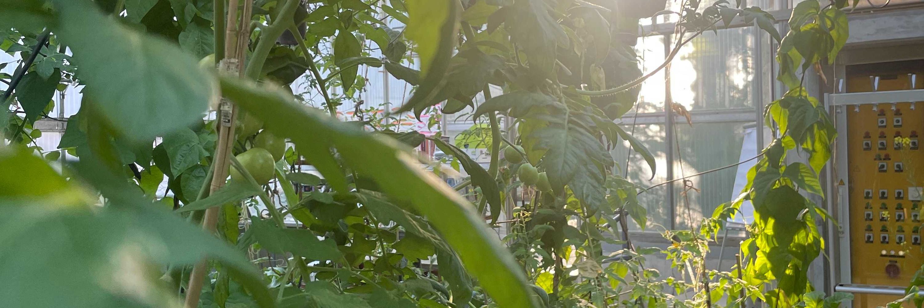 Sustainable Agroecosystems Group, ETH Zürich