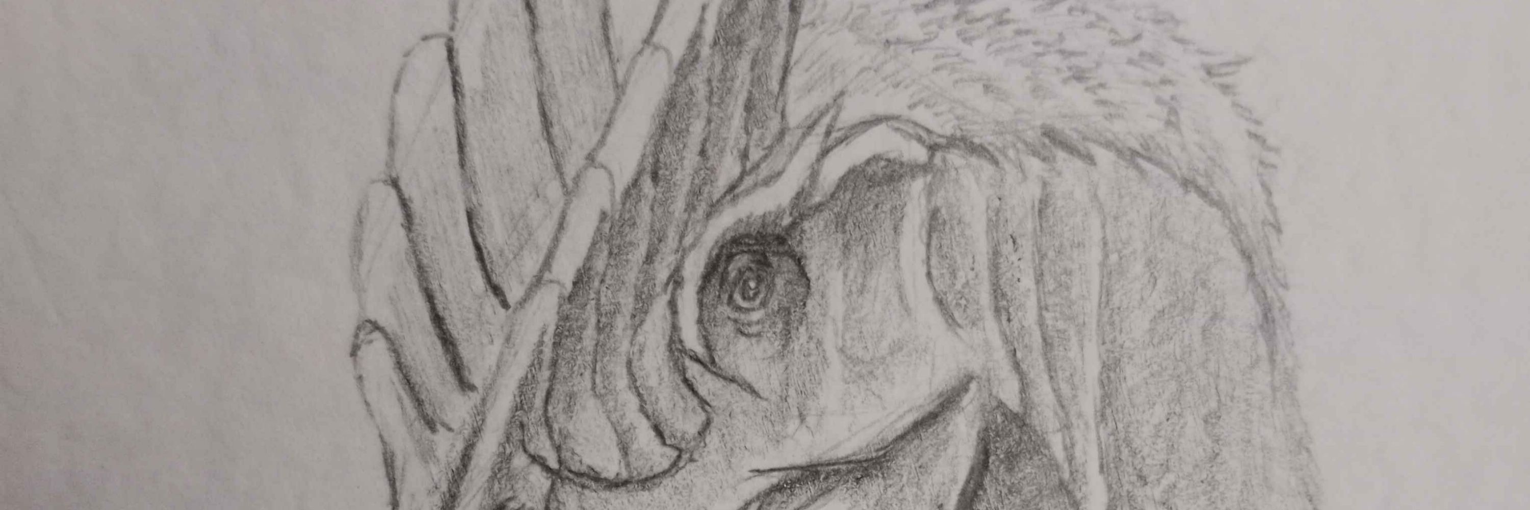 DD_Spino 金斧頭雙脊龍