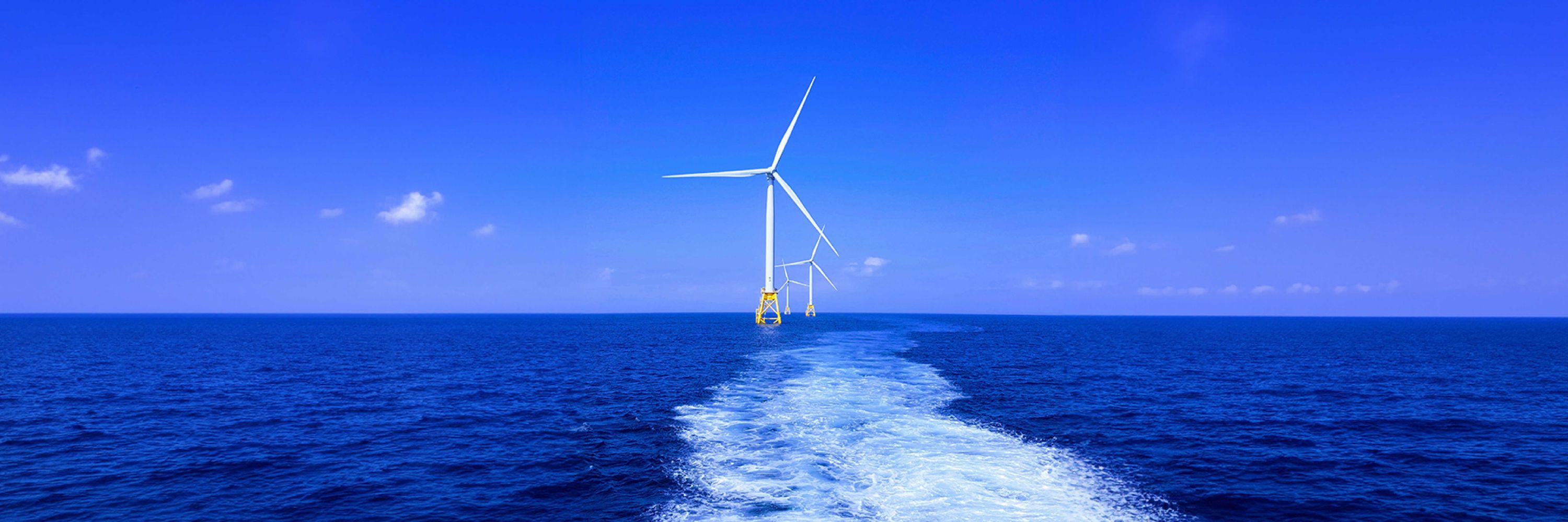 Tailwind EU