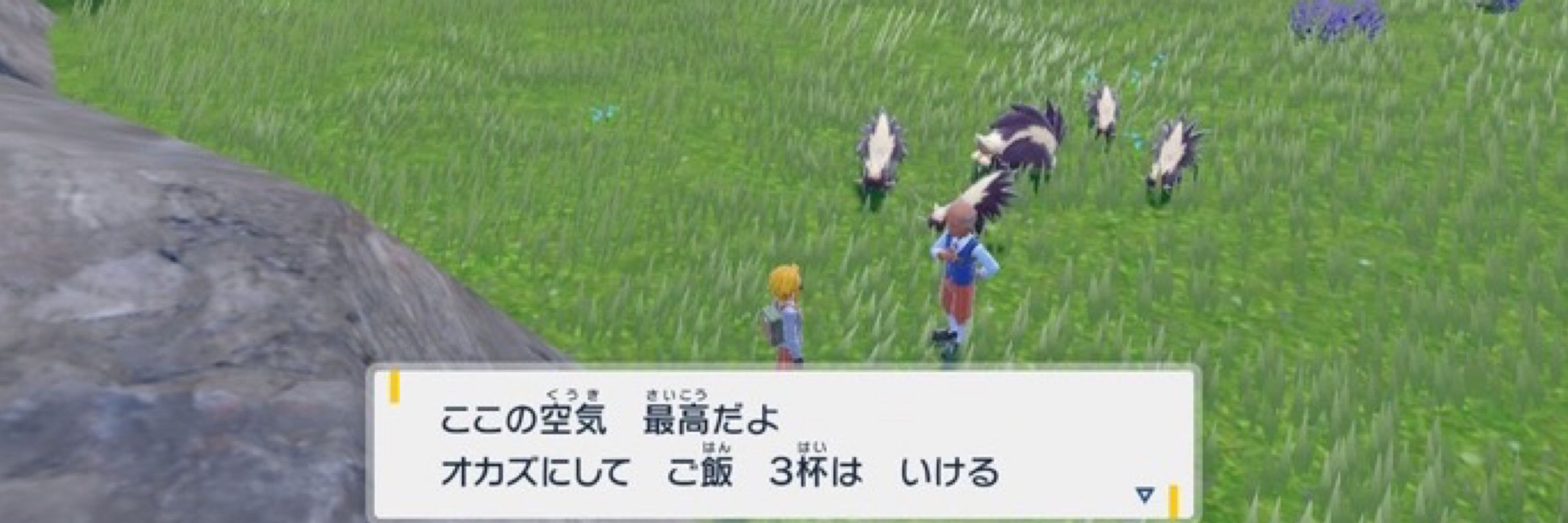 じゃぶちぃ