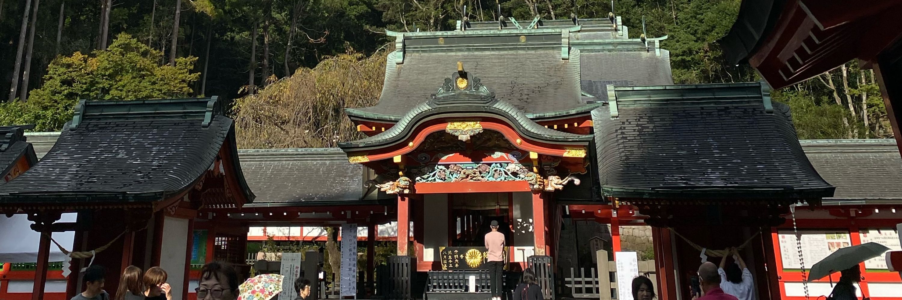 みわっち