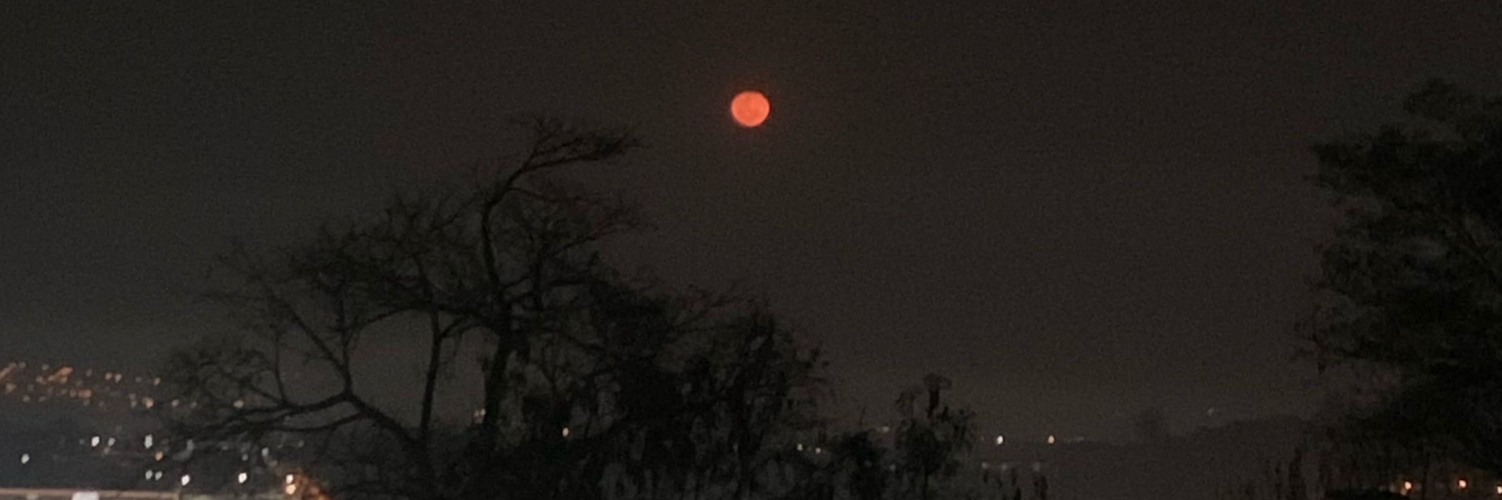 Lua