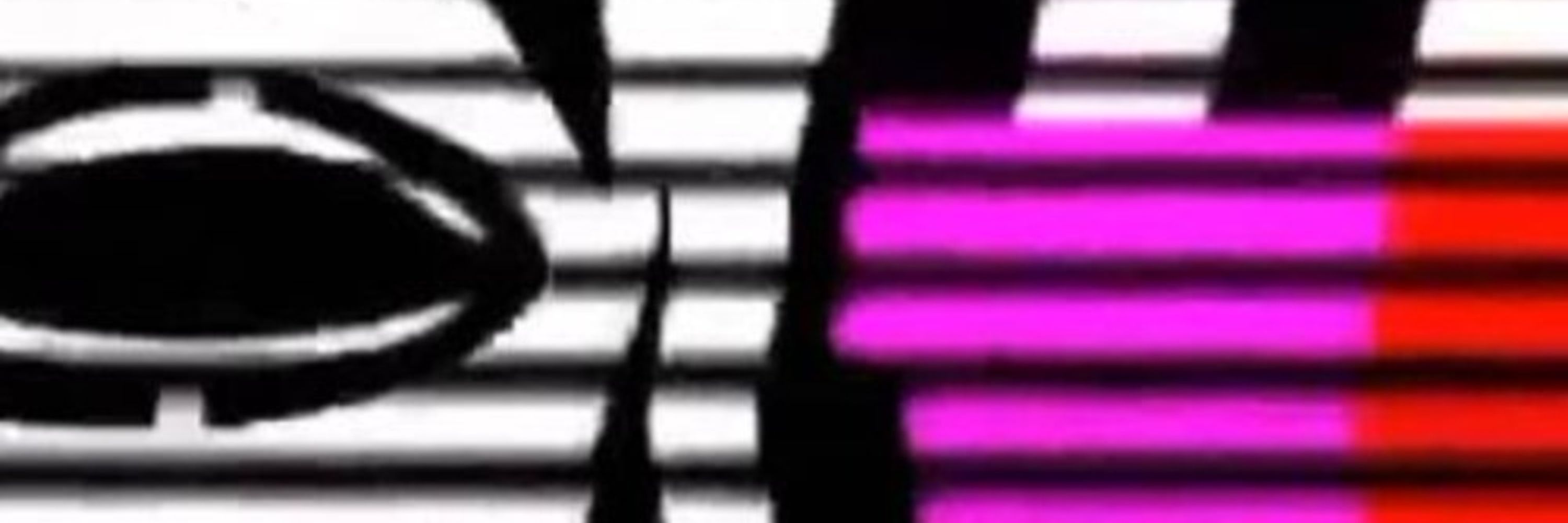 Anonleaks