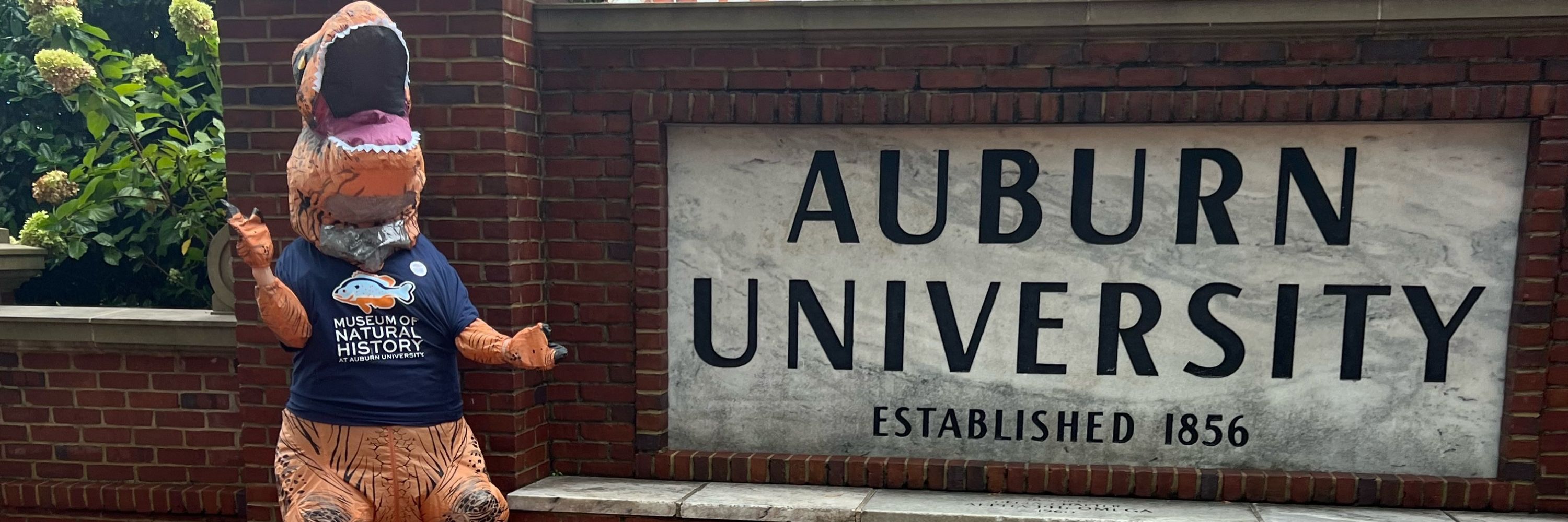 AUMNH