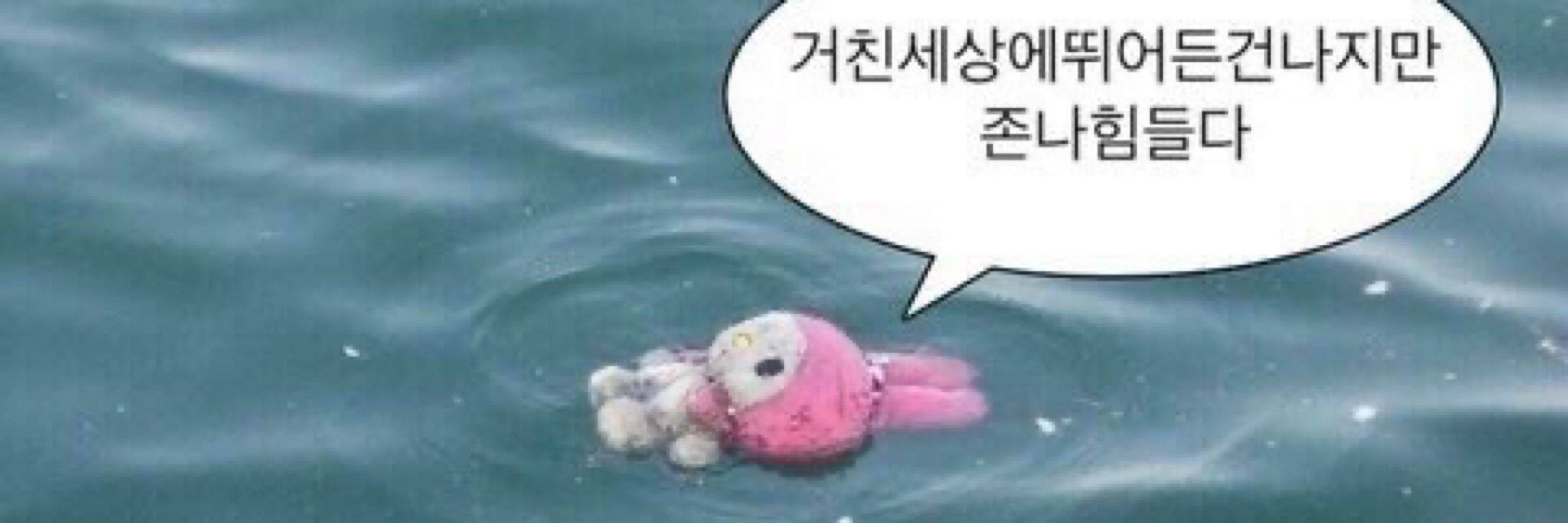 청연