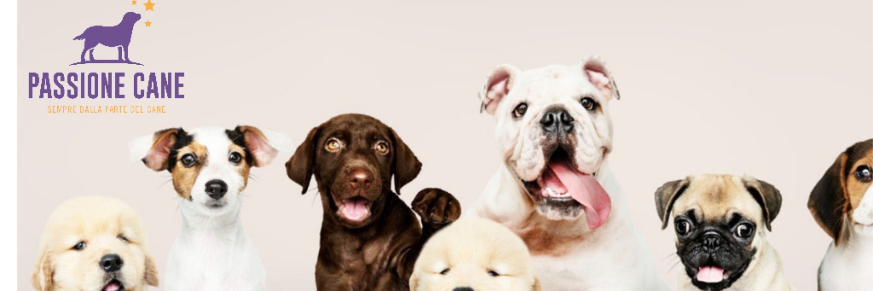 Passione Cane