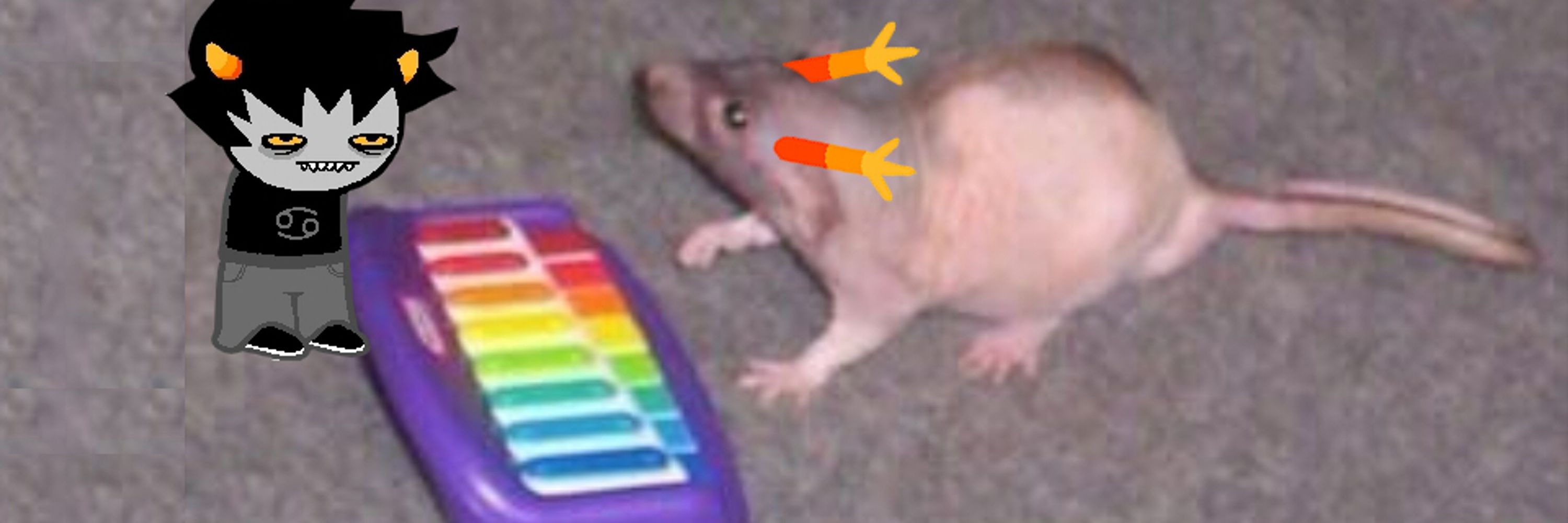 YackovFx