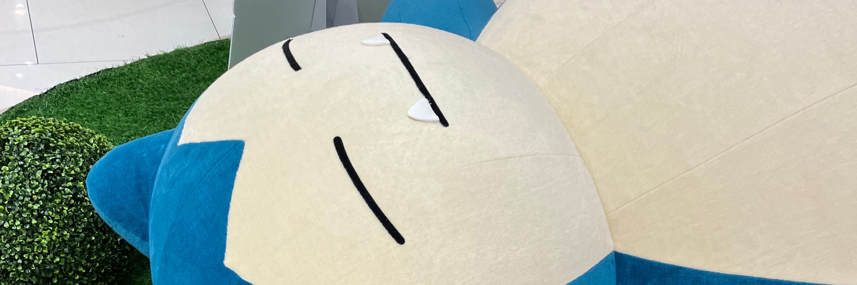 クラゲ