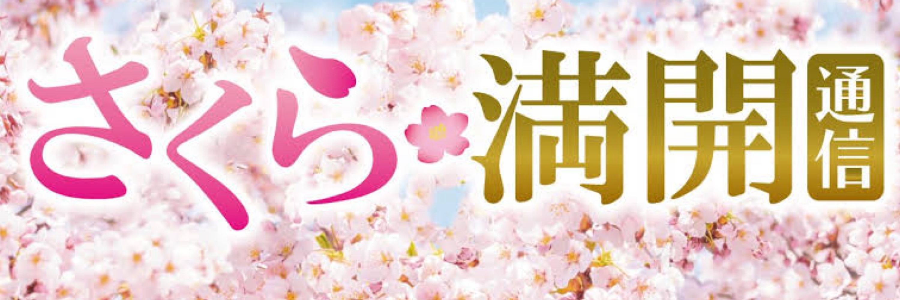 桜咲