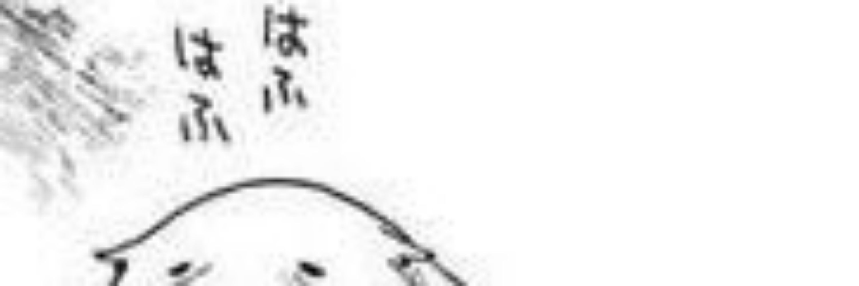 NEWコーンポッター