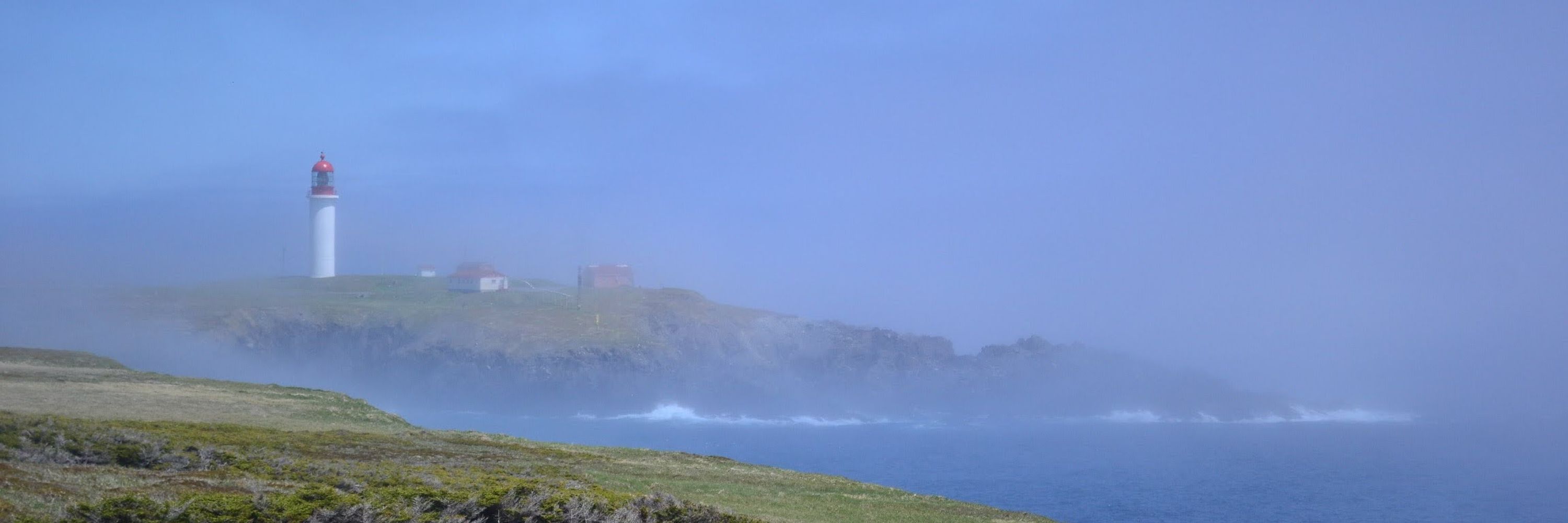 Adventures in Newfoundland