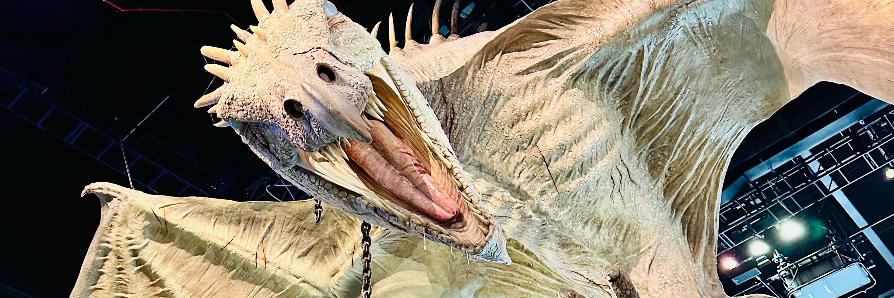 Maurizio 