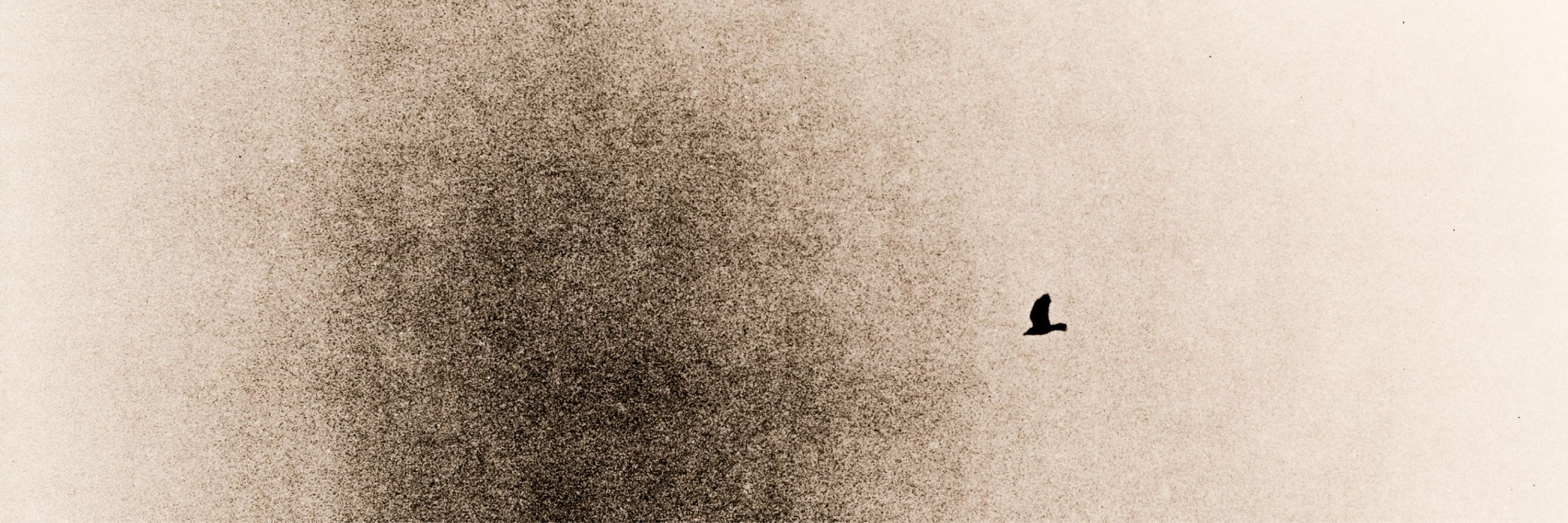 Carsten Domnick